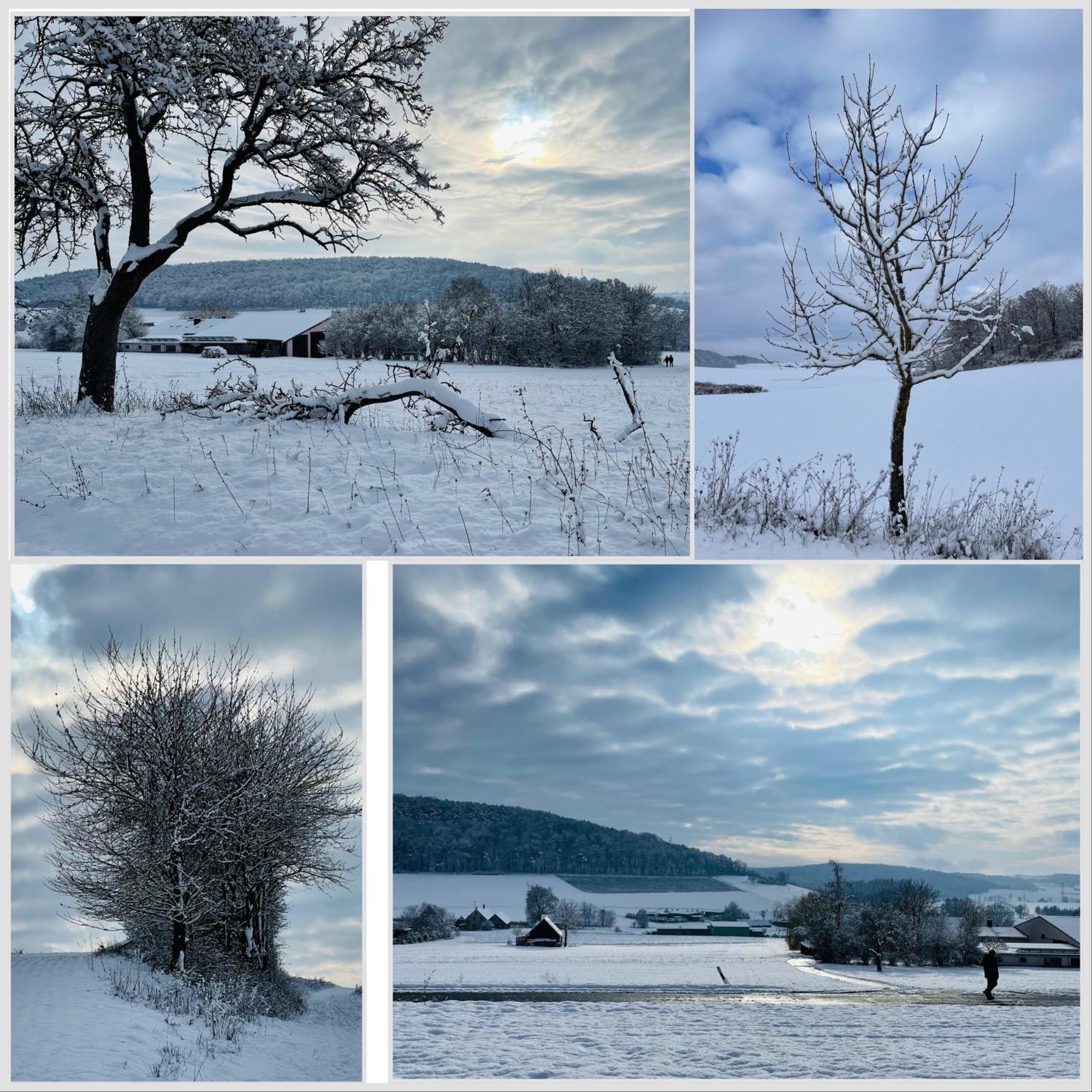 Fewo Uettingen Mitte Bagian luar foto