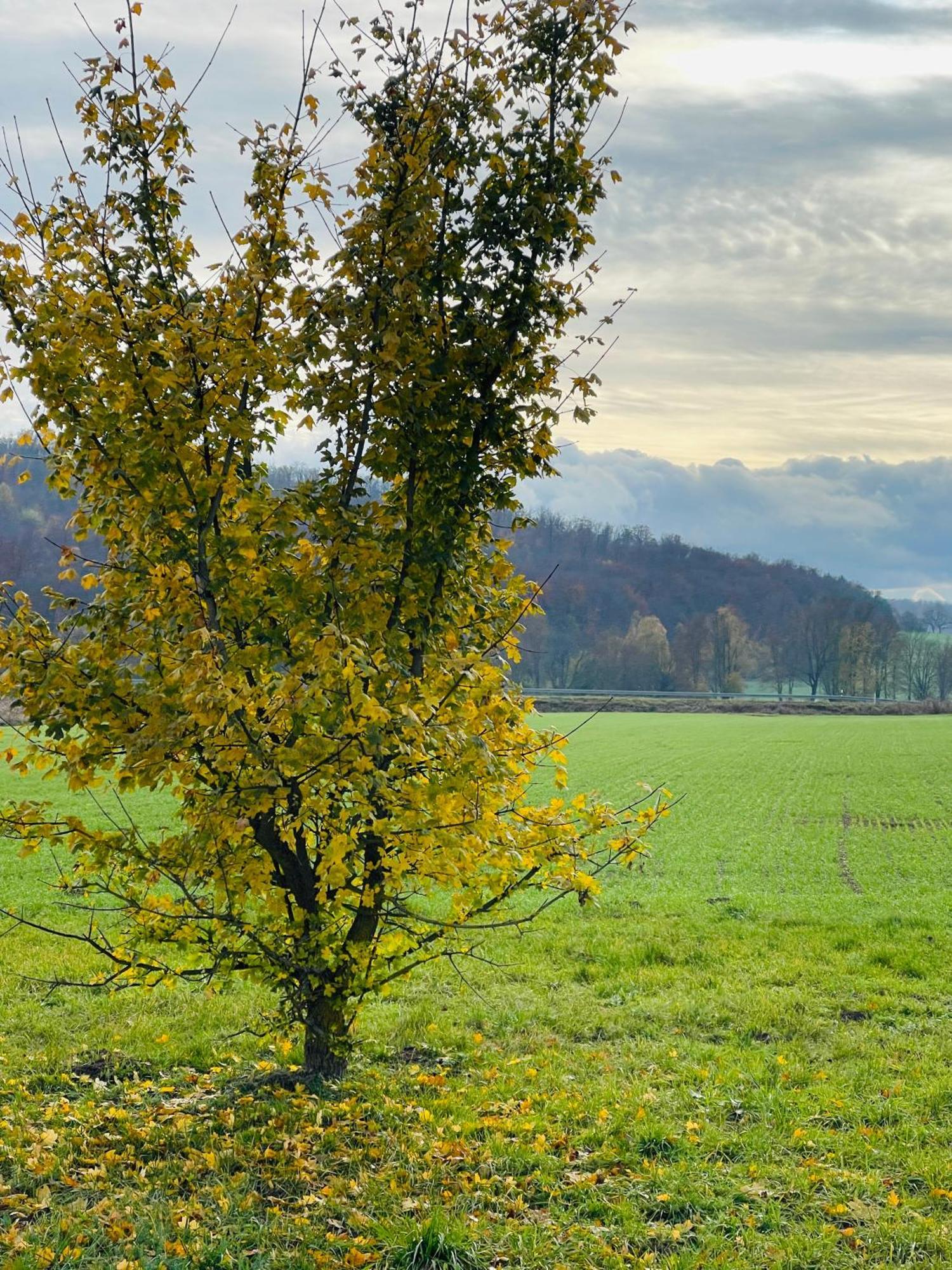 Fewo Uettingen Mitte Bagian luar foto